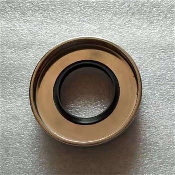 22890503 Oil Seal