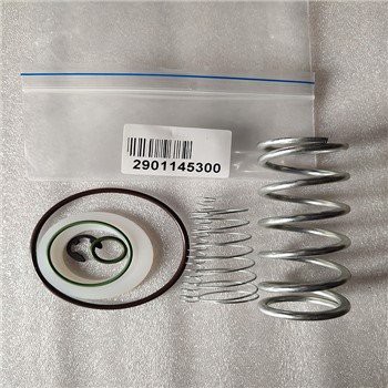 Air Compressor Minimum Pressure Valve Kit 2901145300